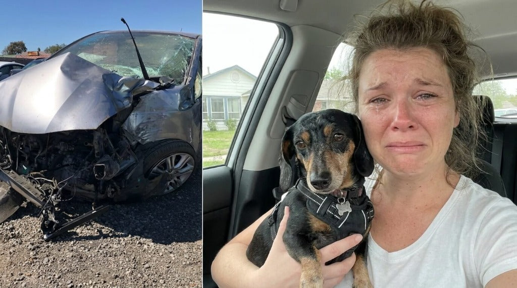 Car crash safety proof