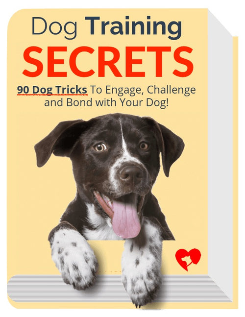 Dog Training SECRETS