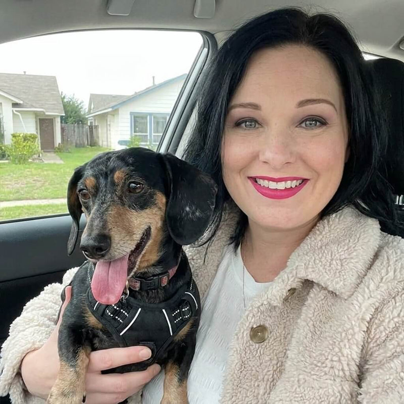 Is Your Dog Safe In The Car? Most Dog Parents Make This 1 Dangerous Mistake...