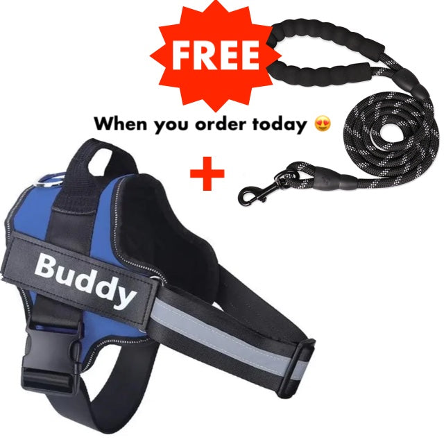 Personalized No Pull Dog Harness + FREE Leash