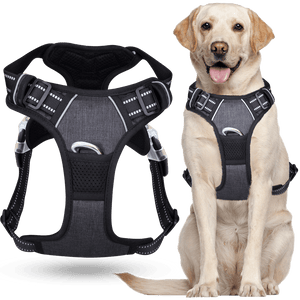 SafePet Heavy-Duty Chest Harness