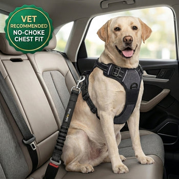 SafePet Heavy-Duty Chest Harness