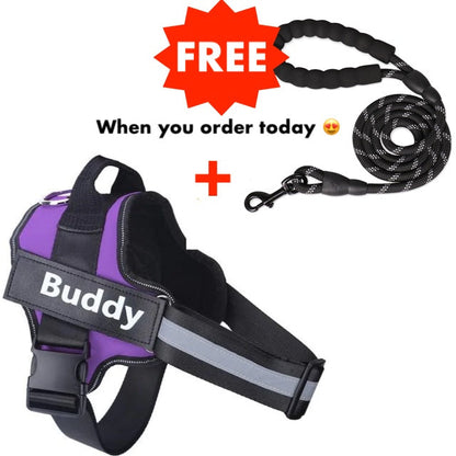 Personalized No Pull Dog Harness + FREE Leash