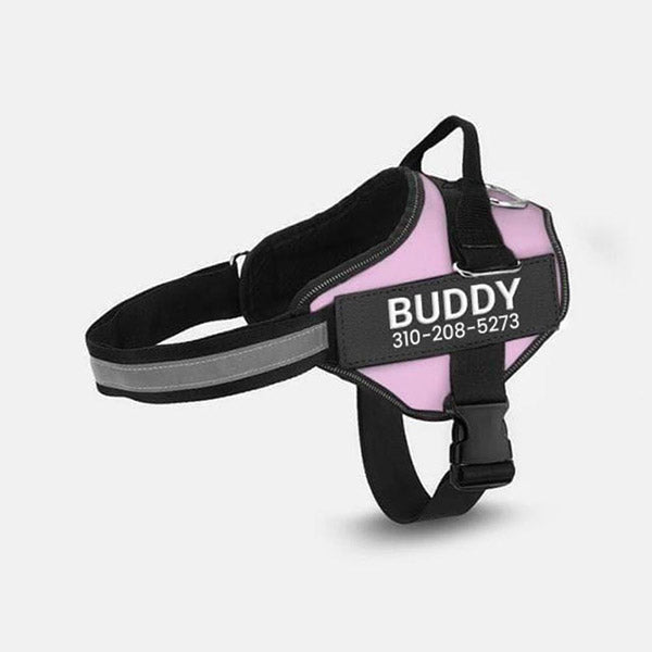 Personalized No Pull Dog Harness + FREE Leash