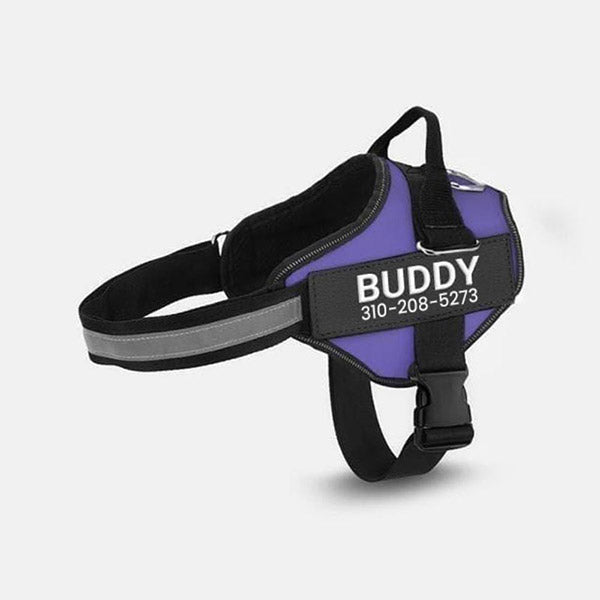 Personalized No Pull Dog Harness + FREE Leash