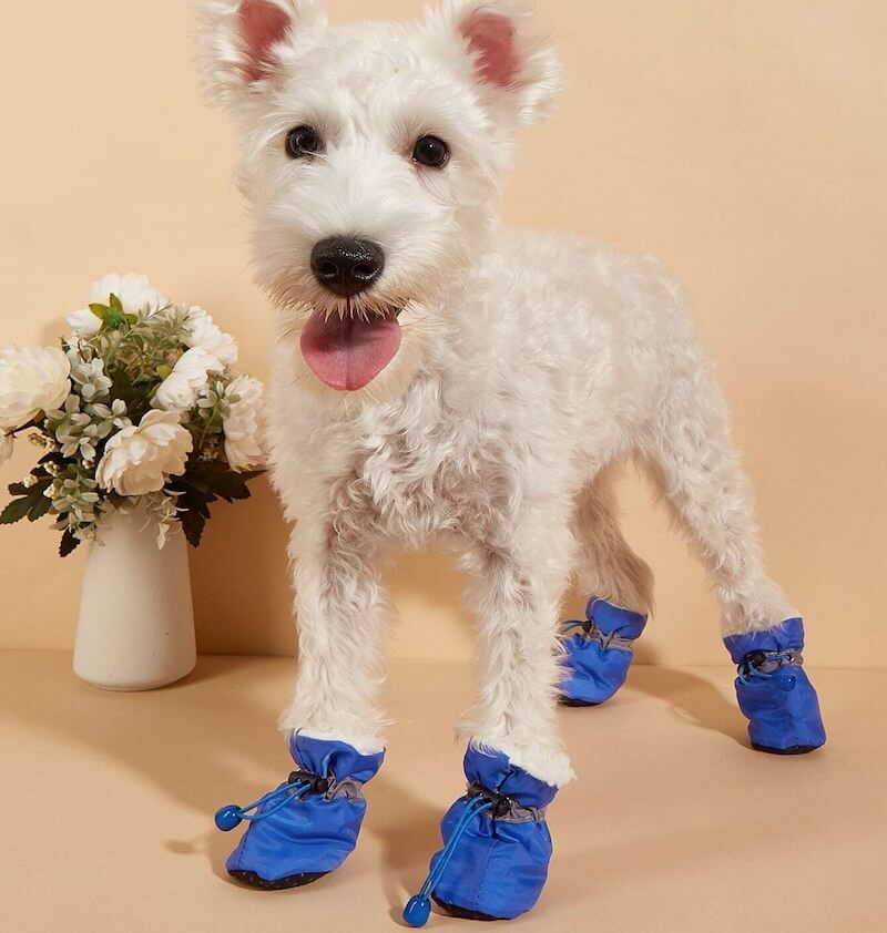 SafePet Shoes™  (FREE Today)