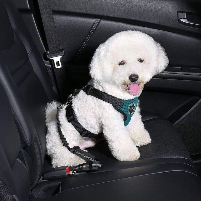 Doggy Seat Belt - Dog Safety