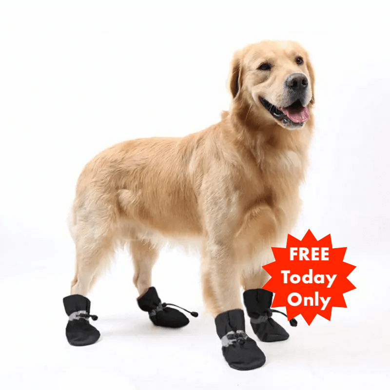 SafePet Shoes™  (FREE Today)