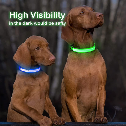 SafePet LED Collar (FREE Today)
