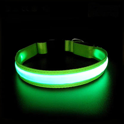 SafePet LED Collar (FREE Today)