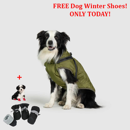 SafePet™ 3 in 1 Jacket + FREE Shoes