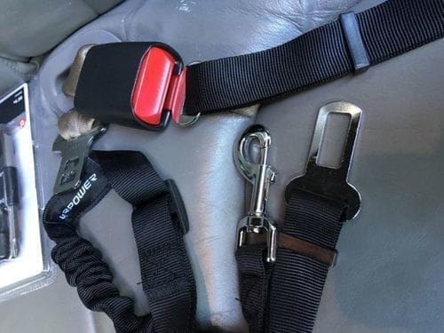 Diana D. customer review of SafePet Seat Belt