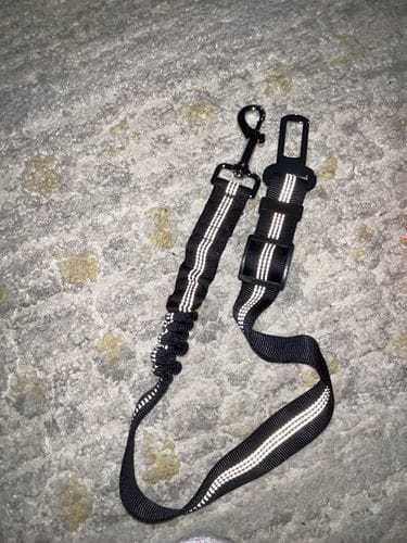 Nina C. customer review of SafePet Seat Belt