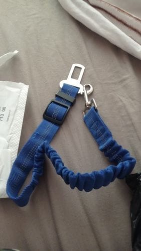 Ruby W. customer review of SafePet Seat Belt