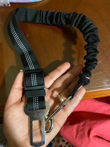 Nina S. customer review of SafePet Seat Belt